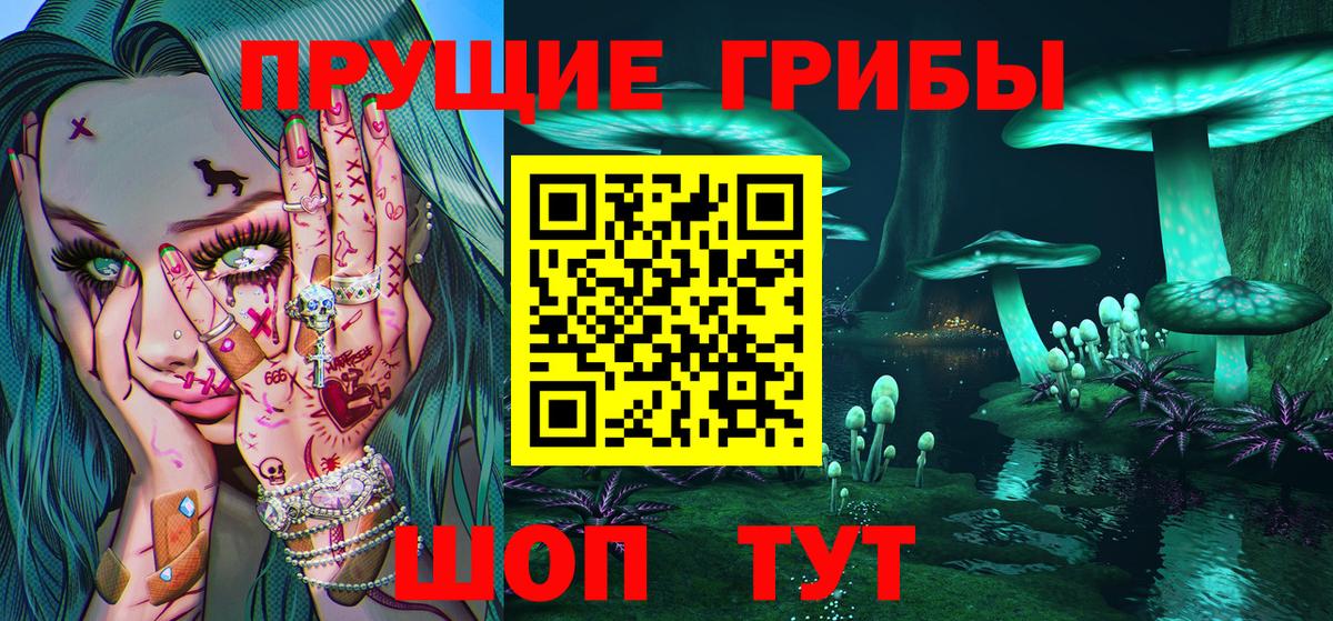Арзамас  купить закладку  Вход с VPN  Галлюциногенные грибы мухоморы 