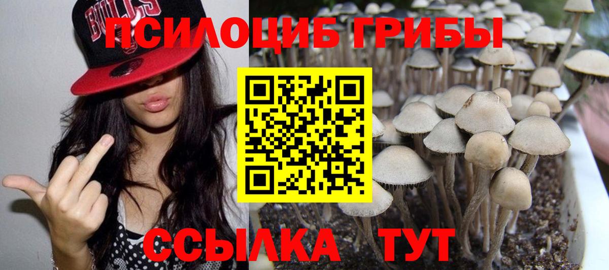 Псилоцибиновые грибы GOLDEN TEACHER Арзамас